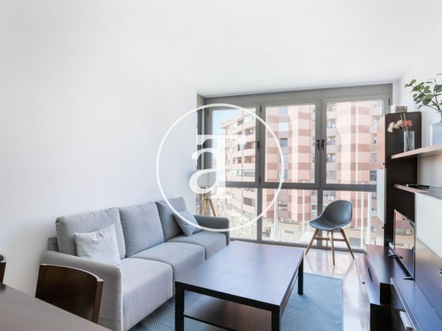 Monthly rental apartment with 2 bedrooms in Sants