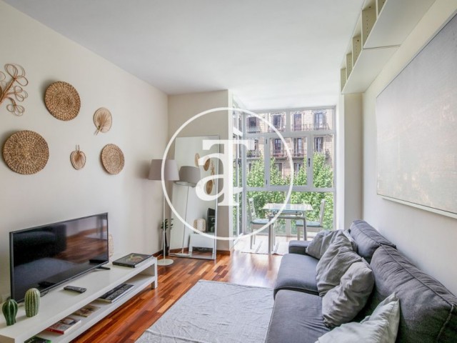 Monthly rental apartment with 2 bedrooms and studio in Sant Antoni